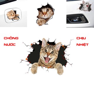 Tem decal dán xe ô tô xe máy chó mèo 3D chống nước chịu nhiệt độ cao sticker laptop tủ lạnh đồ gia dụng PKOT10