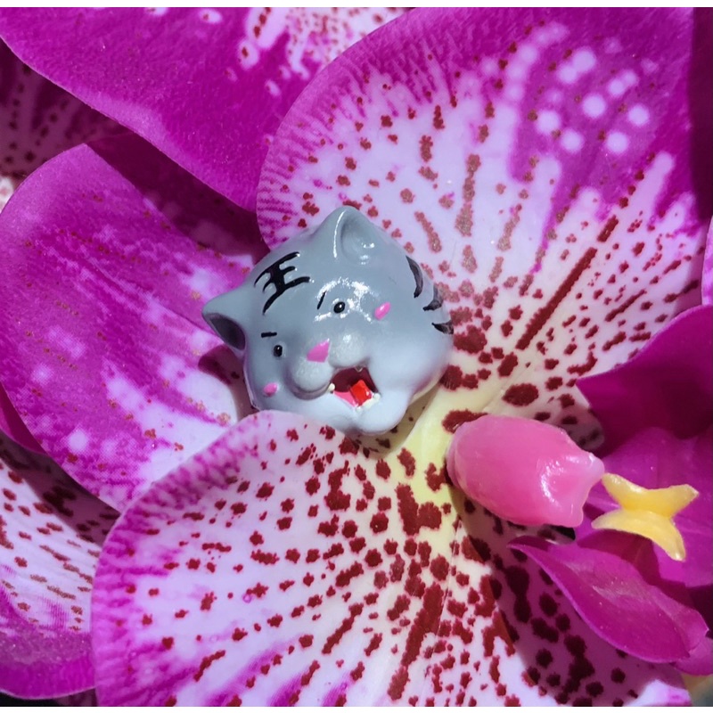 Nút bàn phím cơ hình hổ mắt tròn màu trắng xám / Resin keycap/ Keycap set/ Esc keycap/ Gift for gamer