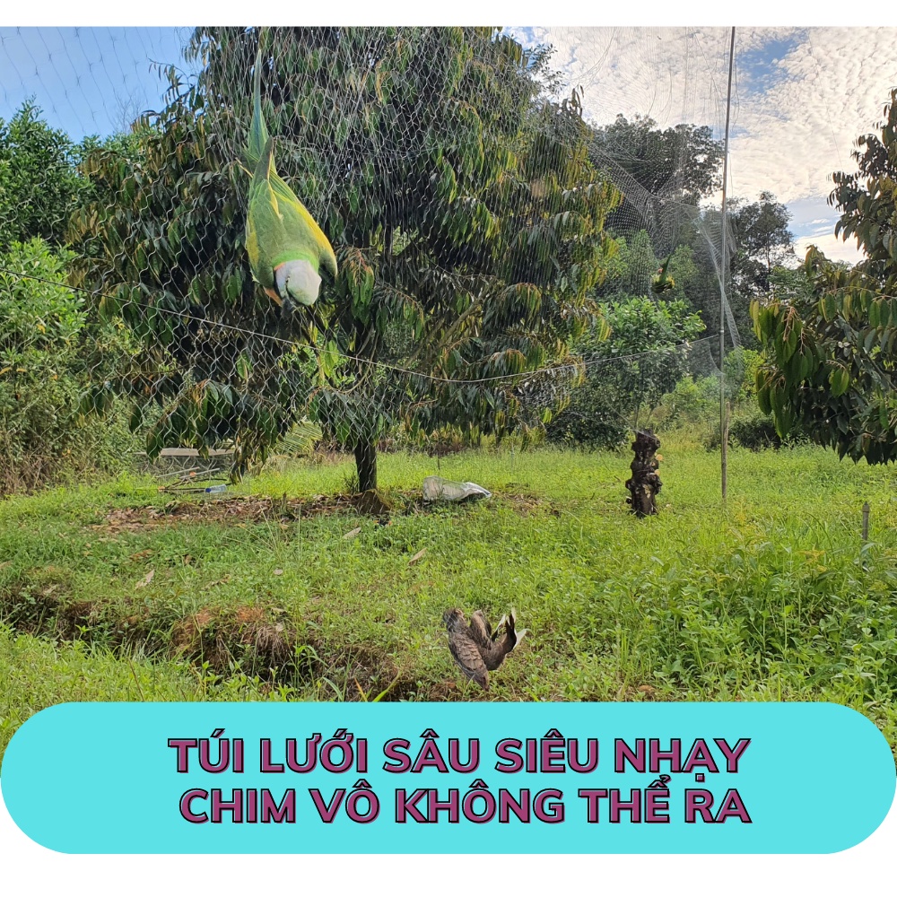 Lưới  bẫy chim tàng hình thái lan bẫy tất cả các loại chim, mắt lưới 3p, 4p, 5p, 6p, 7p, 8p chiều dài 20m, 30m, 60m