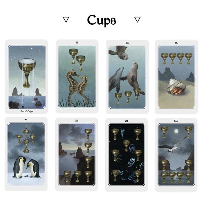 Bộ Bài Tarot Giải Trí Vui Nhộn