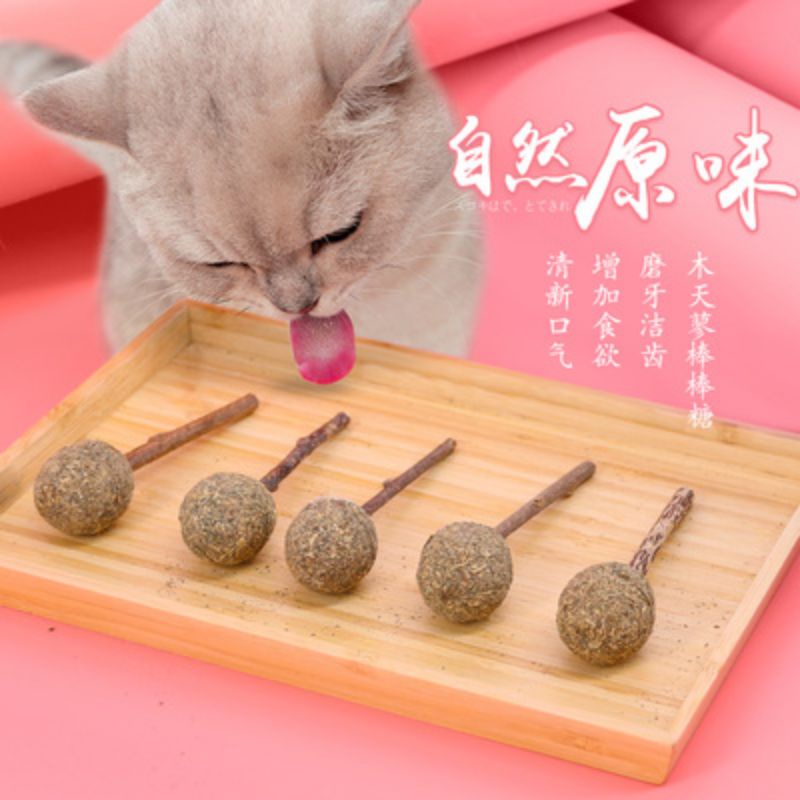 Kẹo que catnip cho mèo - Que catnip cho mèo giảm stress