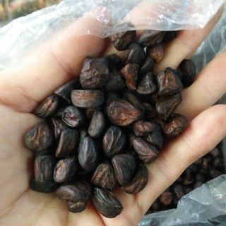Hạt Mắc Khén Tây Bắc 100g