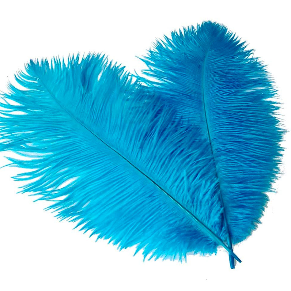 Bộ 10 Lông Đà Điểu 15-20CM Tự Làm Đồ Trang Sức