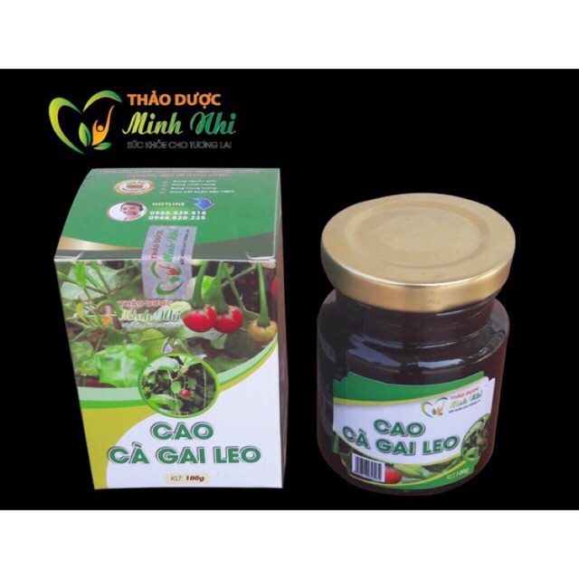 Cao cà gai leo hộp 100g