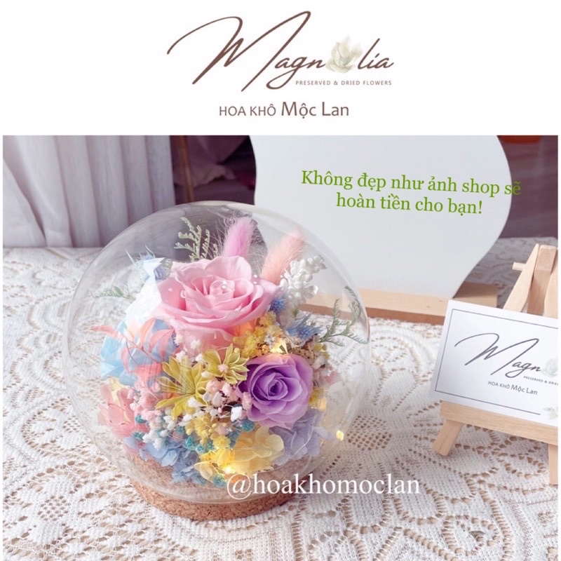 Chụp hoa thuỷ tinh 3 màu vintage Trang trí để bàn, decor chụp ảnh sản phẩm, phông nền chụp ảnh