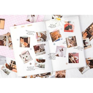 Bộ 46 Sticker Mèo Hàn Quốc dán trang trí E80