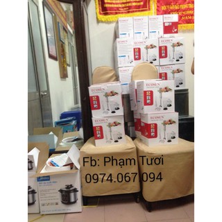 Máy xay cầm tay Ecosun HB1920