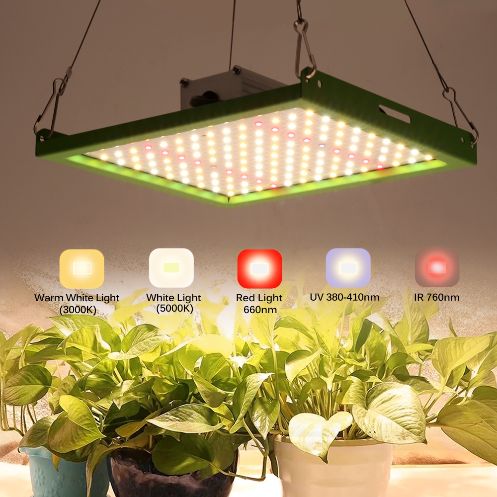 500W LM281B LED phát triển Bảng điều khiển ánh sáng đầy đủ Quang phổ Cây giống như mặt trời phát triển Đèn cho nhà kính trồng cây thủy canh Chiếu sáng tăng trưởng