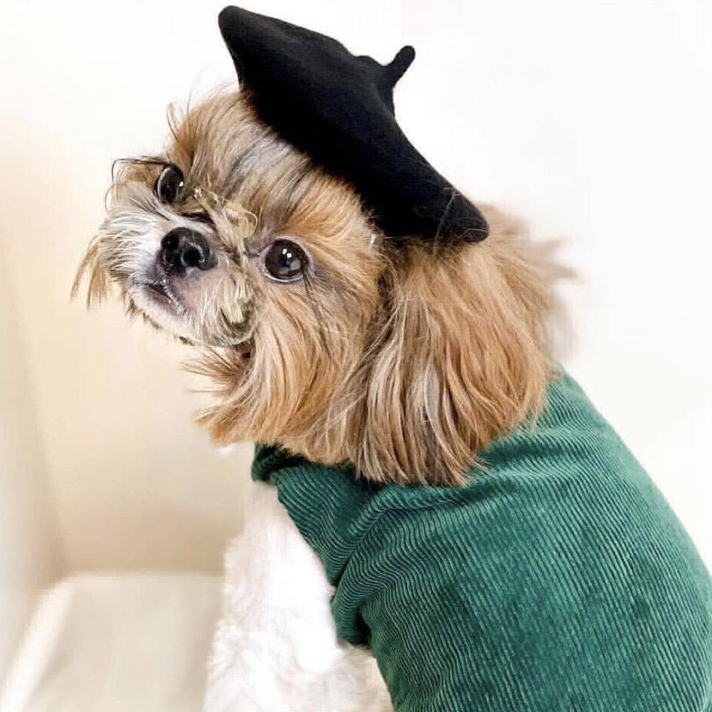 Mũ Beret Màu Sắc Xinh Xắn Cho Thú Cưng T2T5