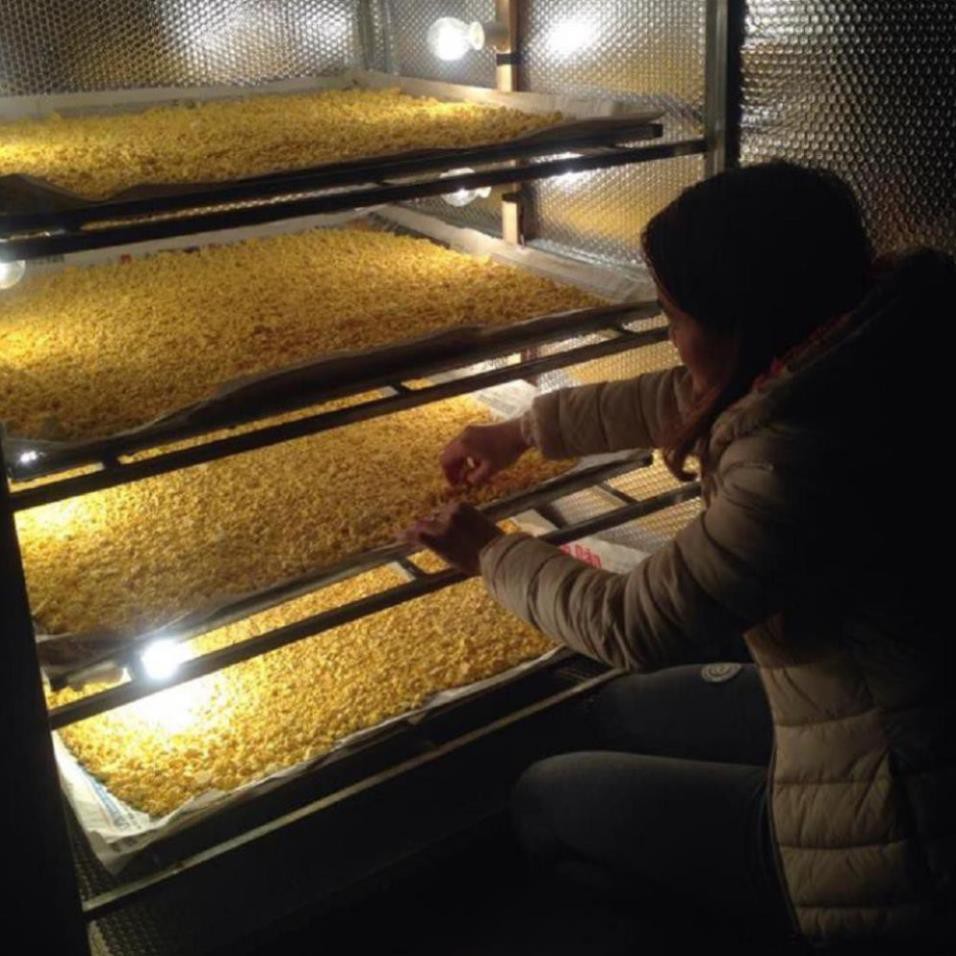 Tinh bột nghệ ⚜️KÈM QUÀ TẶNG⚜️ 500 bột nghệ, tinh bột nghệ, vàng, đỏ, đen, nghệ viên mật ong nguyên chất, curcumin cao | BigBuy360 - bigbuy360.vn