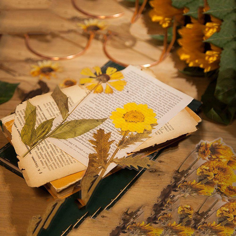 Nhãn Dán Trang Trí Album Ảnh / Sổ Tay Hình Lá Cây 8 Kiểu Độc Đáo