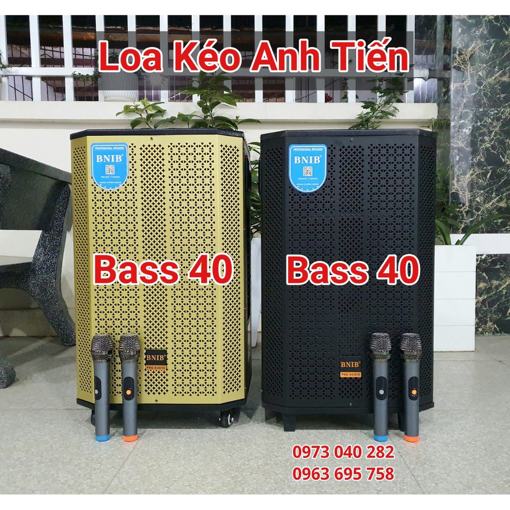 Loa kéo bass 40 hay nhất trong tầm giá – hàng chính hãng BNIB 1599