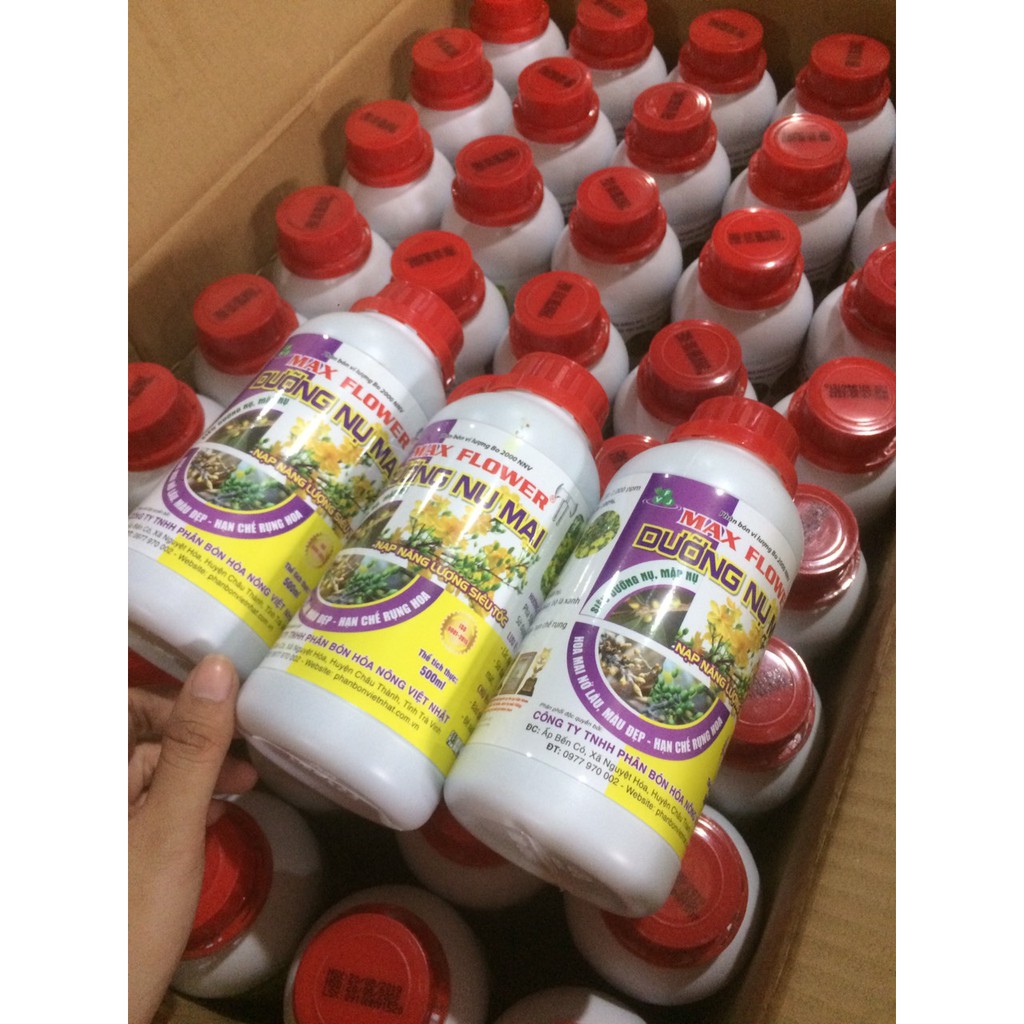 Phân Bón Dưỡng Nụ Mai Max Flower Chai 0,5 Lít - Dưỡng Mập Nụ, Hoa Nở Lâu Tàn, Lên Màu Đẹp