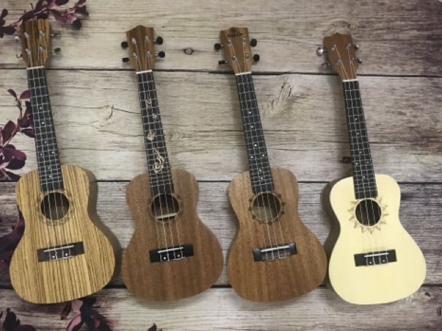 (ĐÀN SỊN) ĐÀN UKULELE CONCERT TỔNG HỢP CÁC MẪU ĐẸP