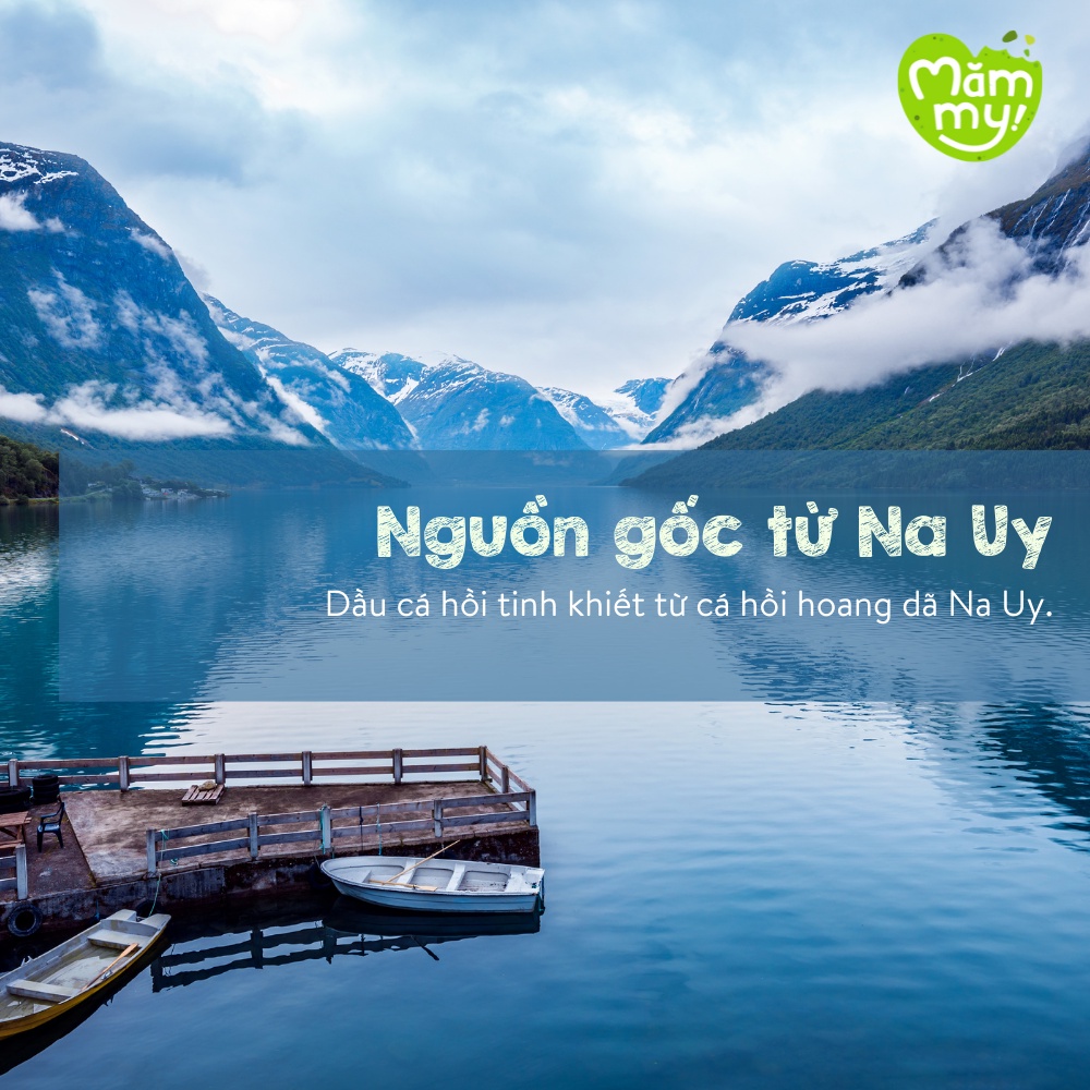 Combo 2 chai dầu cá hồi Na Uy và dầu hạt lanh hữu cơ ép lạnh Mămmy bổ não cho bé ăn dặm giàu omega 3, dha, chai 100ml