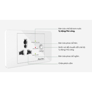Ổ CẮM MÁY BƠM RẠNG ĐÔNG