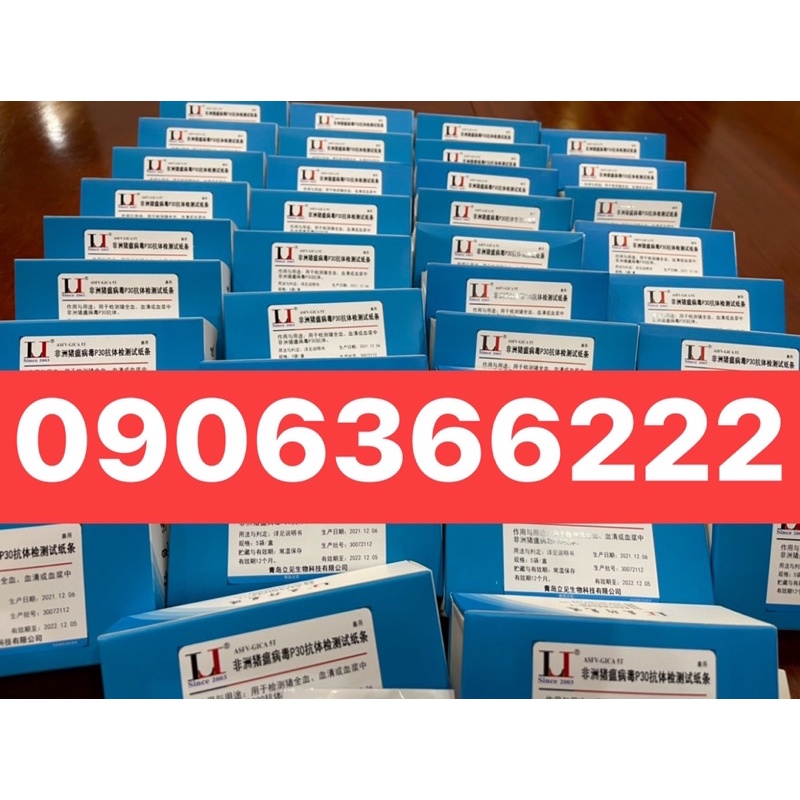 Que Thử Nhanh Dịch Tả Heo Châu Phi  🐖🐖🐖