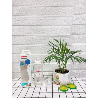 Bình sữa pigeon, bình sữa cho bé Pigeon PP/ PP Plus