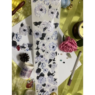 Washi tap chiết chu kì
