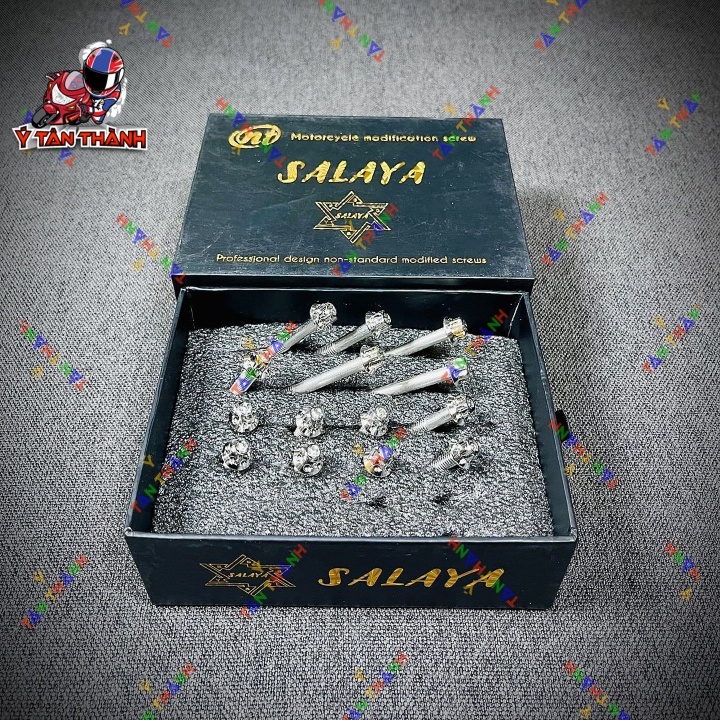 bộ ốc lốc máy salaya vision 2017 14 con