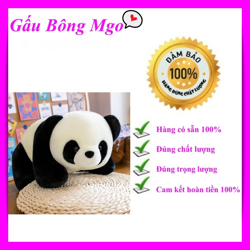 Gấu Bông PANDA Gấu Trúc Nhồi Bông Nằm Qùa Tặng Cực Đáng Yêu Dễ Thương 30Cm 60Cm