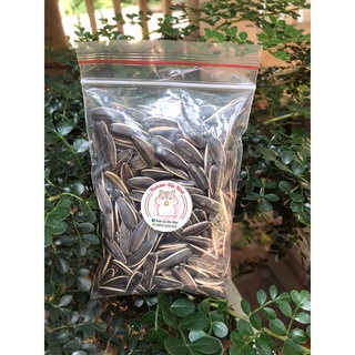 Hướng dương cho Hamster 100g