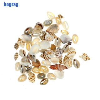 Vỏ Ốc Tự Nhiên Trang Trí Bể Cá