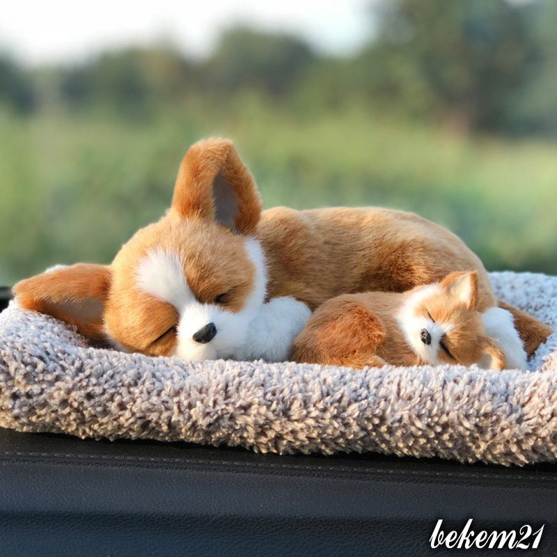 Thú bông GIỐNG THẬT 99% chó mèo sói gấu lõi than hoạt tính lọc không khí khử mùi trang trí xe hơi ô tô