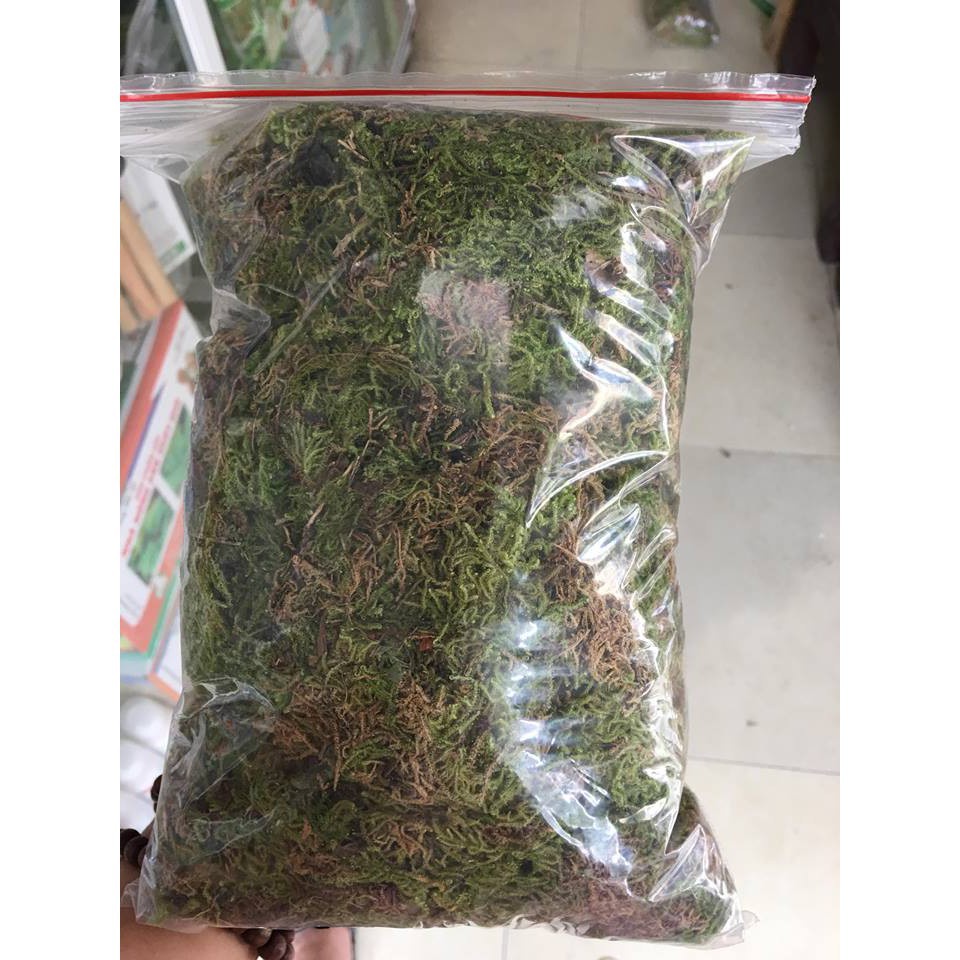 [SIEURE] Rêu rừng tự nhiên phơi khô gói 150gr (tặng 100gr vôi bột để xử lý) hàng đẹp, phân phối chuyên nghiệp.