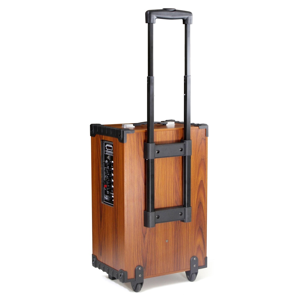 Loa kéo Arirang MKS1 300W Bass 30 (kèm 2 mic không dây)