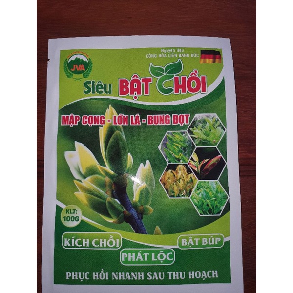 Siêu Bật Chồi