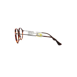 Gọng Kính RayBan RB2447VF