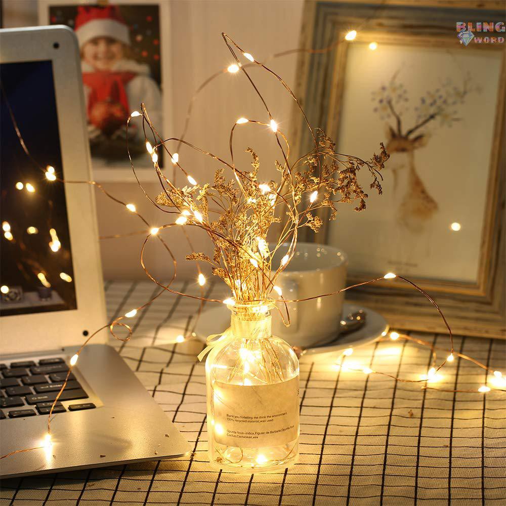 Blingword 100 LEDs Fairy String Lights 10M/32.8ft USB Copper Wire Lamp Christmas Lights 8 Lighting Modes with Remote Con