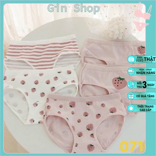 Quần cotton quả dâu cao cấp 🍓🍓🍓
