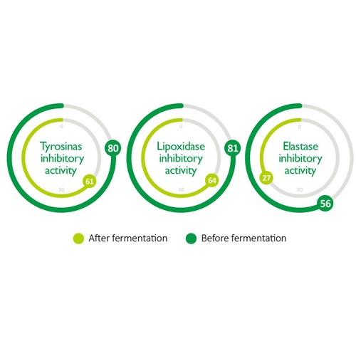 Kem dưỡng da chiết xuất mật ong Haruharu WONDER 38g/90g