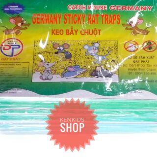 Keo dính chuột