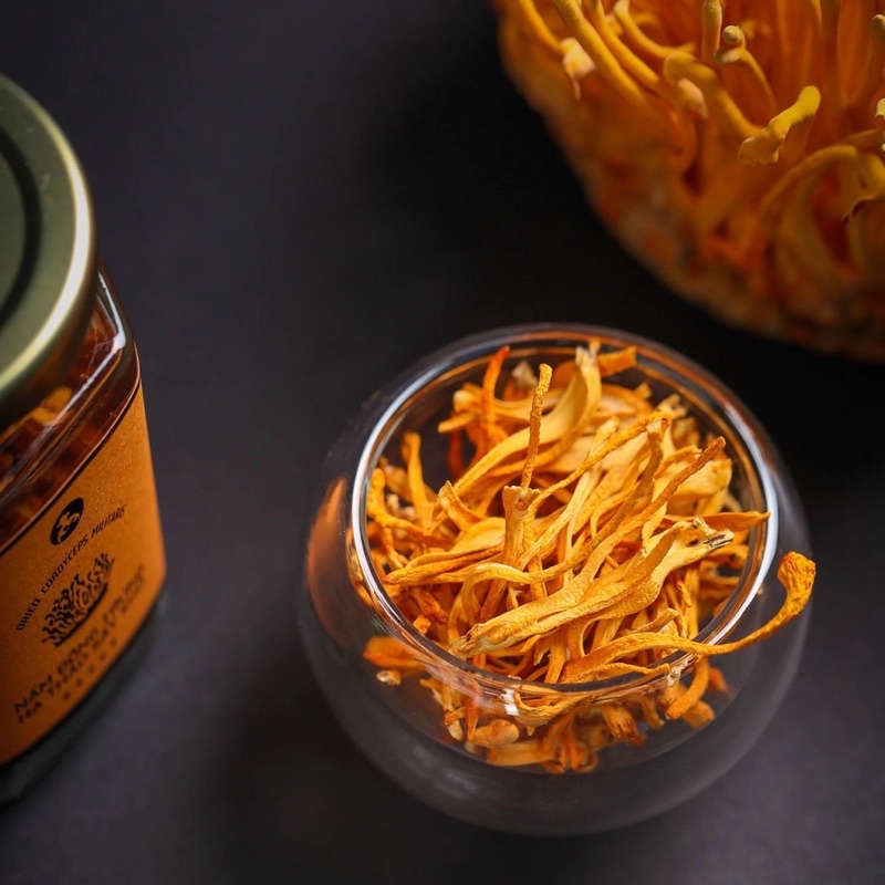 NẤM ĐÔNG TRÙNG HẠ THẢO CAO CẤP