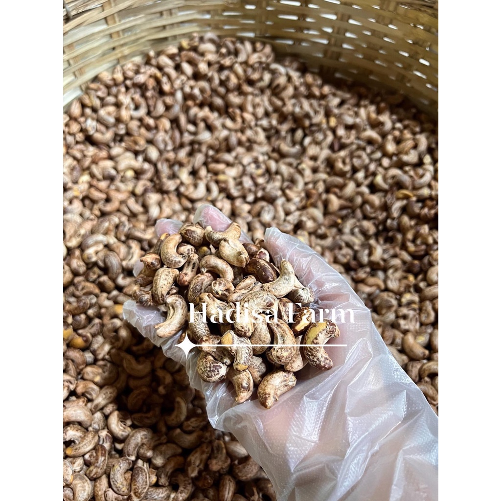 Hạt Điều Rang Muối Chưa Bóc Vỏ lụa(KL:500GRAM)