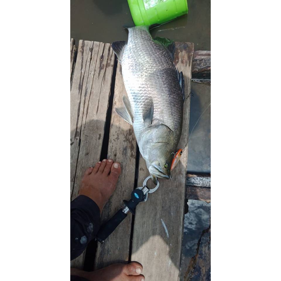 Mồi câu cá sinking Pencil Huyền thoại S7S Lurefans HKN Fishing