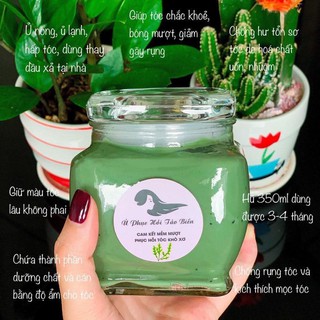 Ủ phục hồi tảo biển loại 1 hũ lớn phục hồi tại nhà