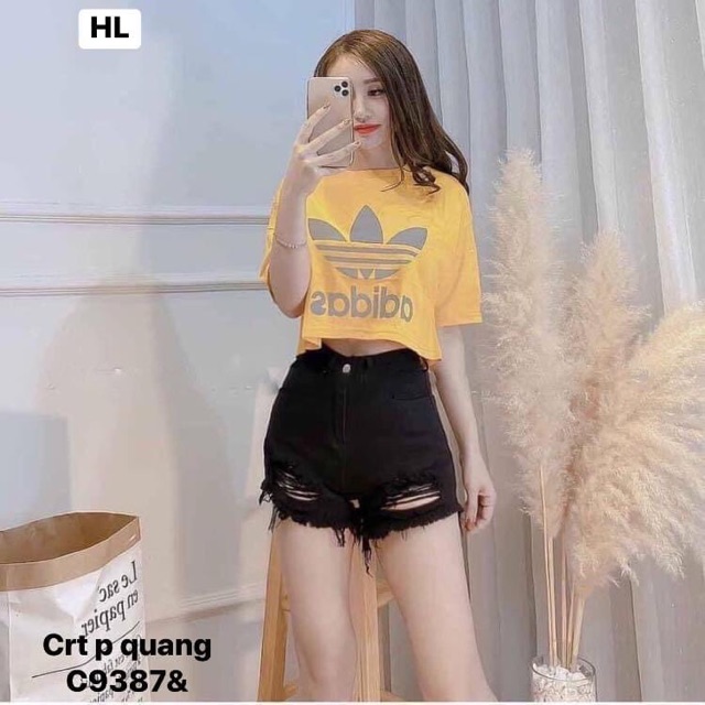 Áo crt ba lá phản quang - C