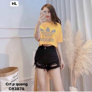 Áo crt ba lá phản quang - C