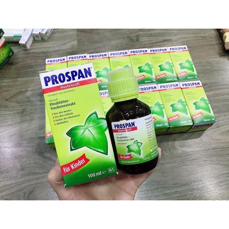 siro ho nội địa đức pross pan