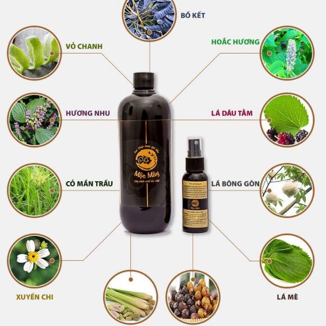Dầu gội đầu Mộc Mây