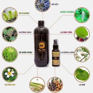 Dầu gội đầu Mộc Mây
