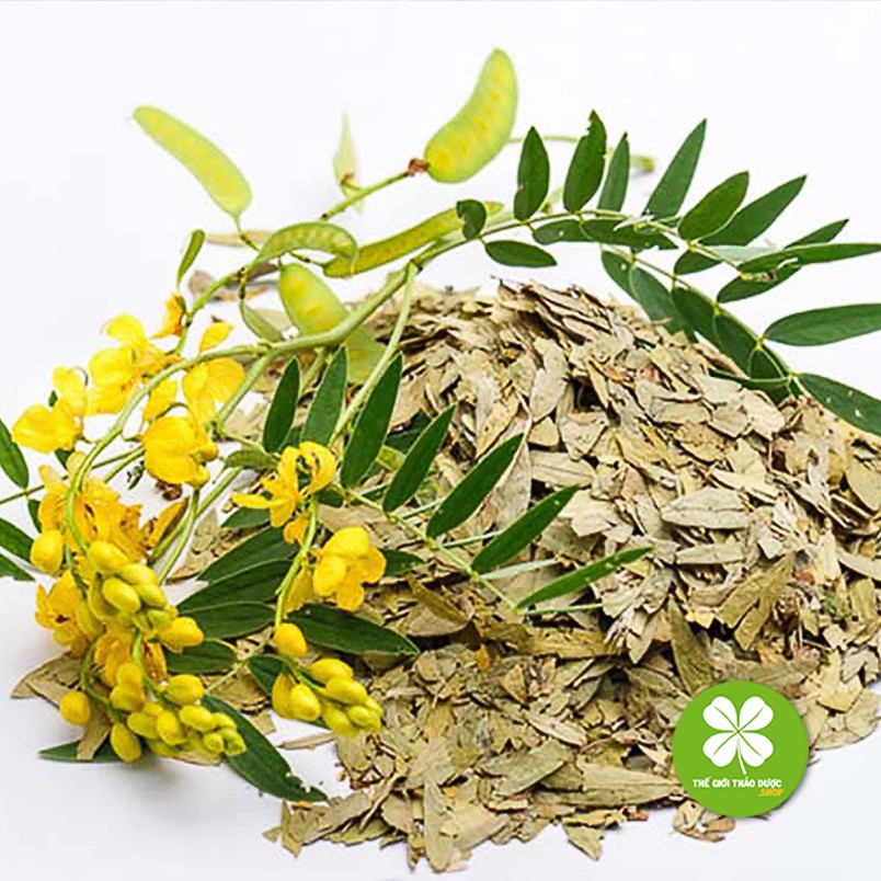 Lá phan tả diệp sấy khô 200gram loại thượng hạng TD069 | BigBuy360 - bigbuy360.vn
