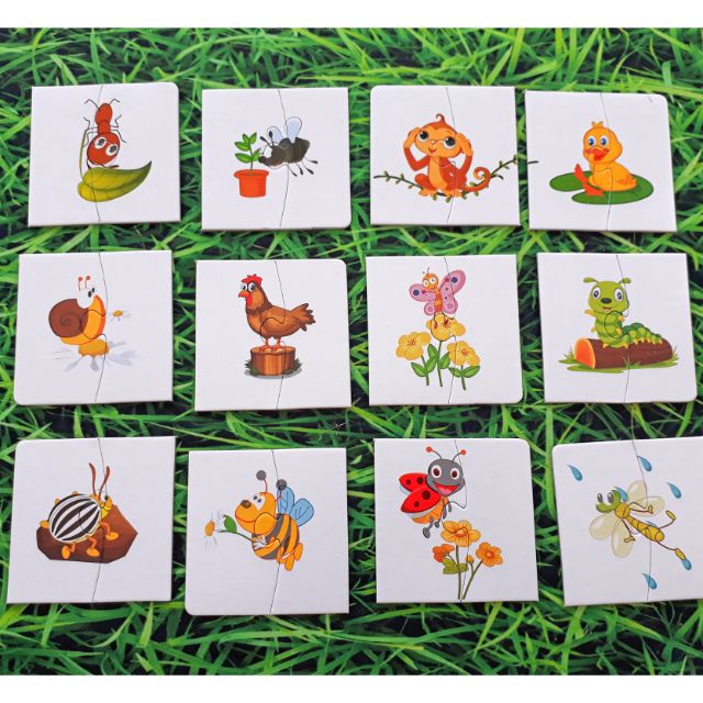GHÉP HÌNH 2 MẢNH & TÌM BÓNG CON VẬT