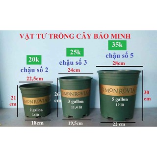 Combo 5 chậu nhựa Monrovia 5 Galon kèm đế chậu hàng vn