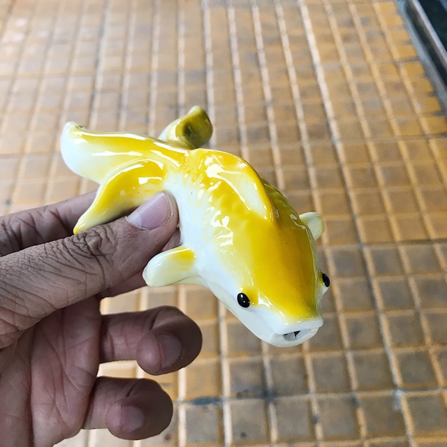 CÁ CHÉP TRANG TRÍ HỒ CÁ NON BỘ DÀI 14CM