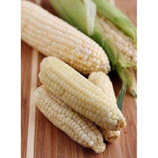 Hạt Giống Ngô Nếp